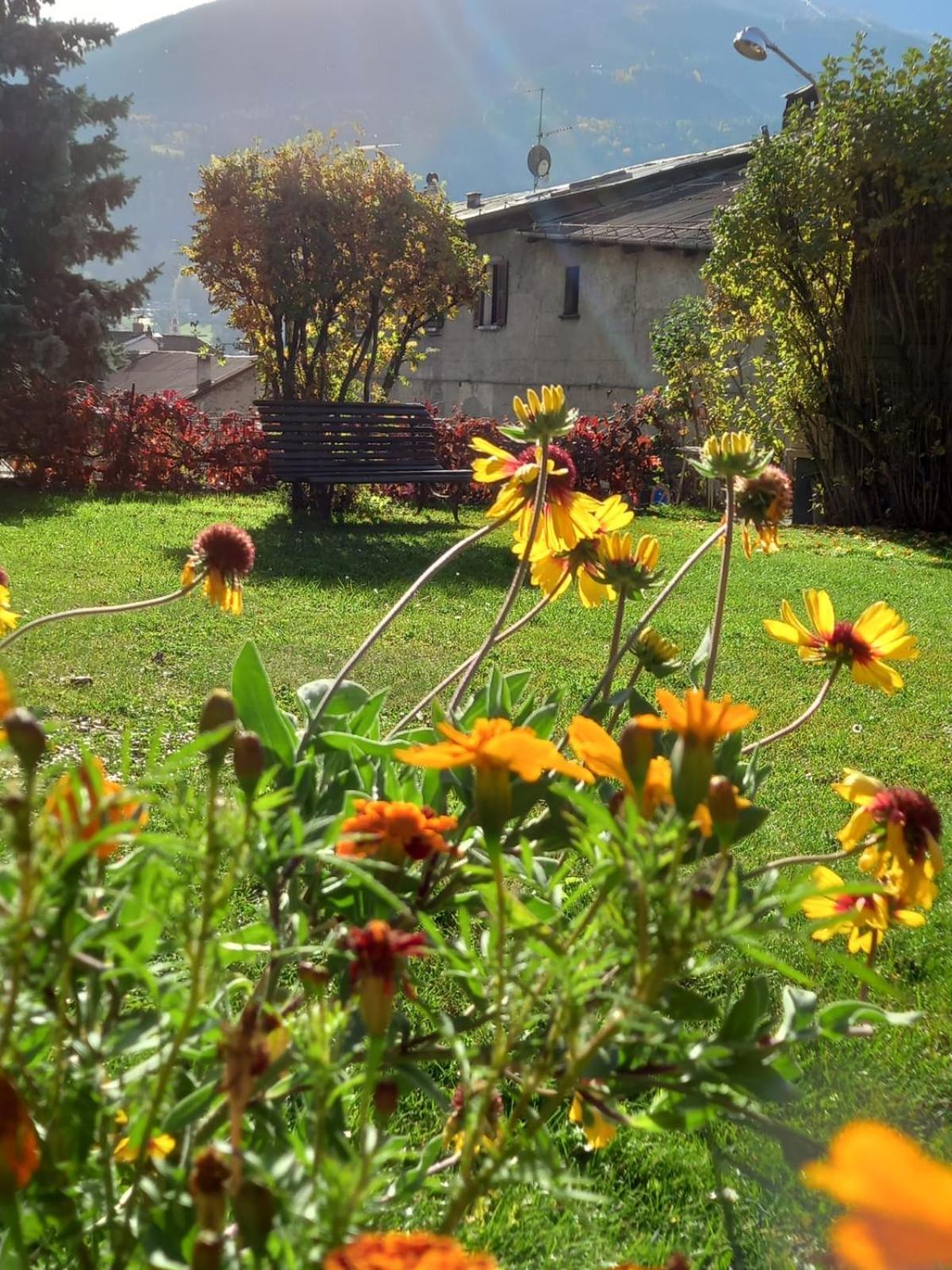 Appartamenti Via Monte Braulio 19 Bormio Exterior foto